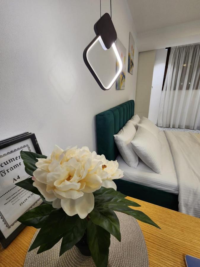 Pietro Guesthouse 티라나 외부 사진